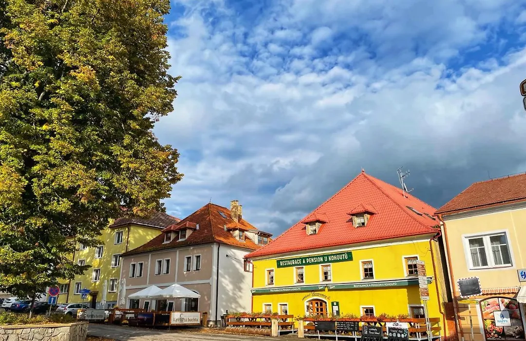 Pension U Kohoutů-1