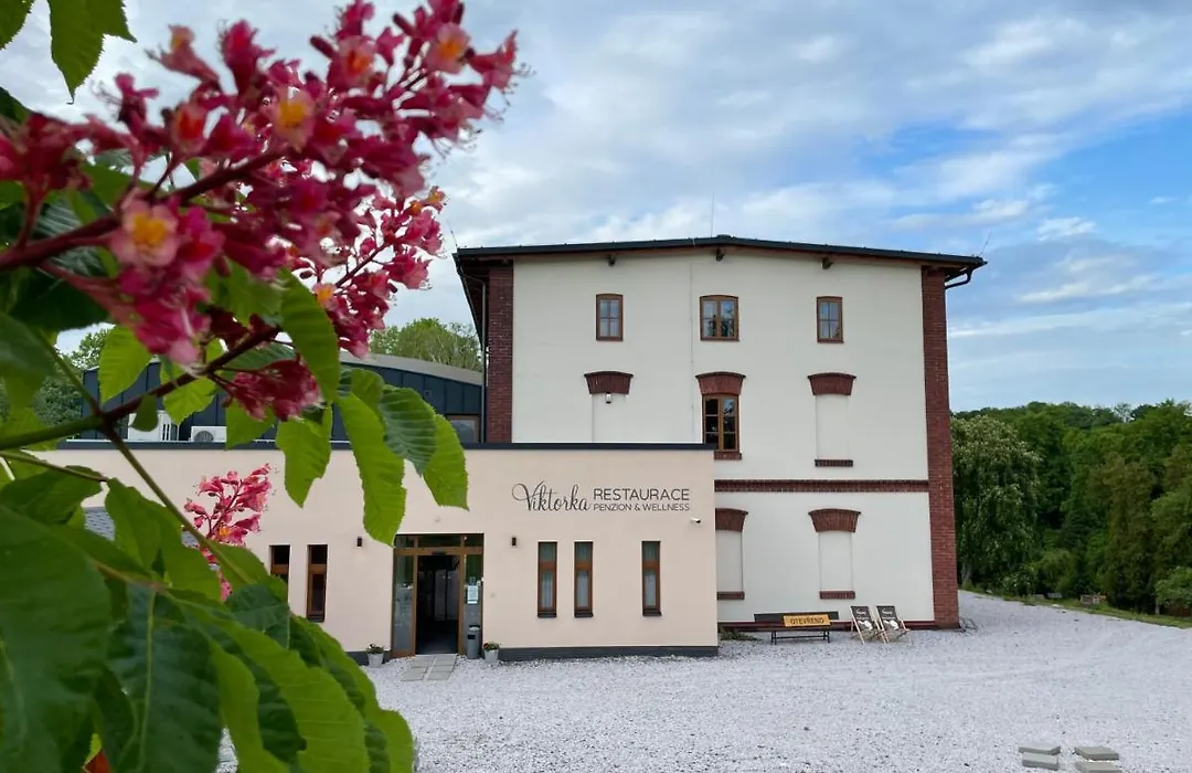 Penzion Viktorka-1