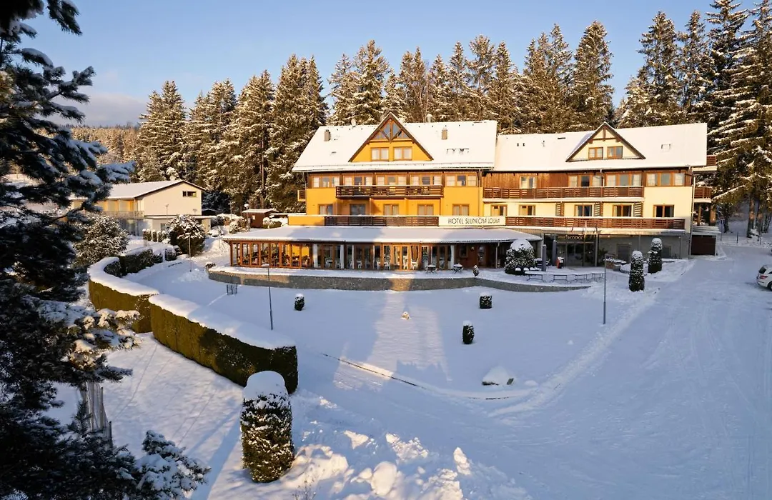 Hotel SLUNEČNÁ LOUKA-1