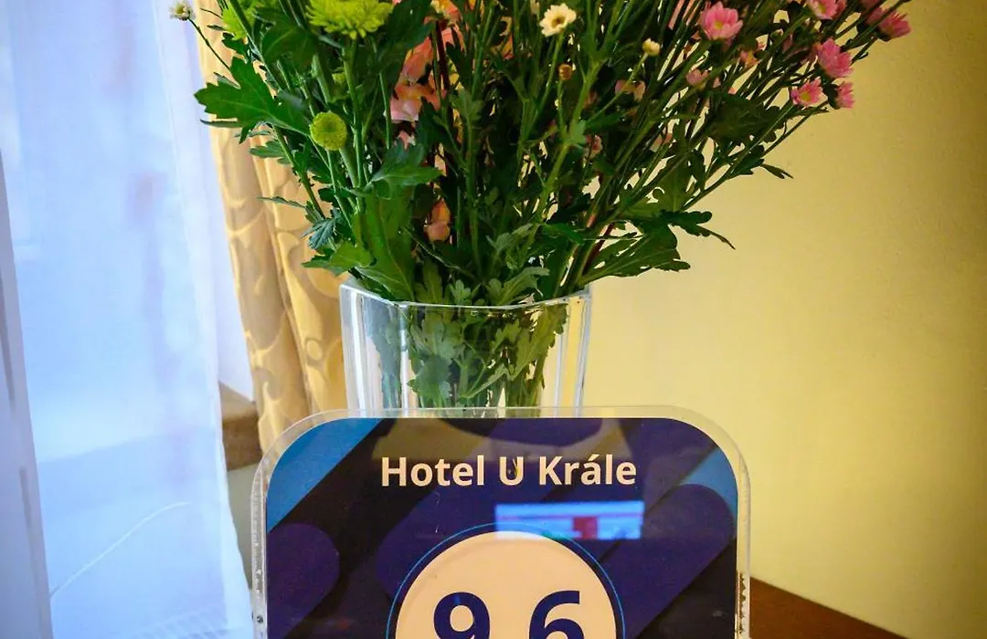 Hotel U Krále-1