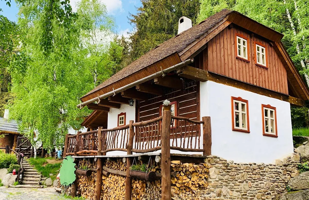 Hotel Podlesí-1