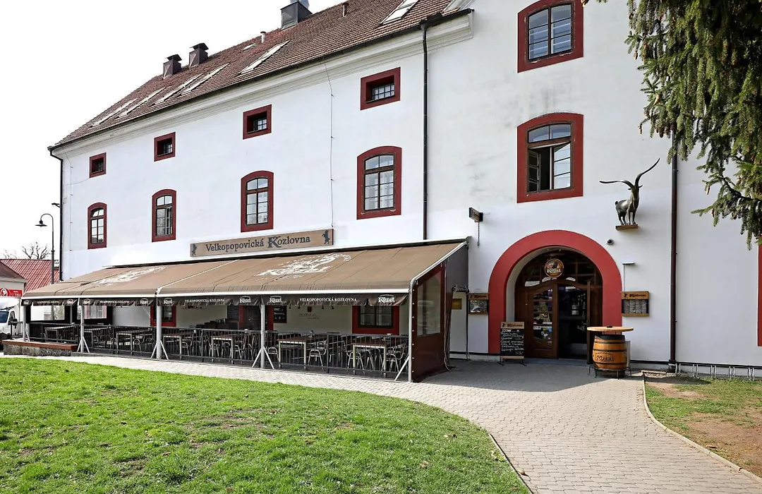 Hotel U Ledu-1