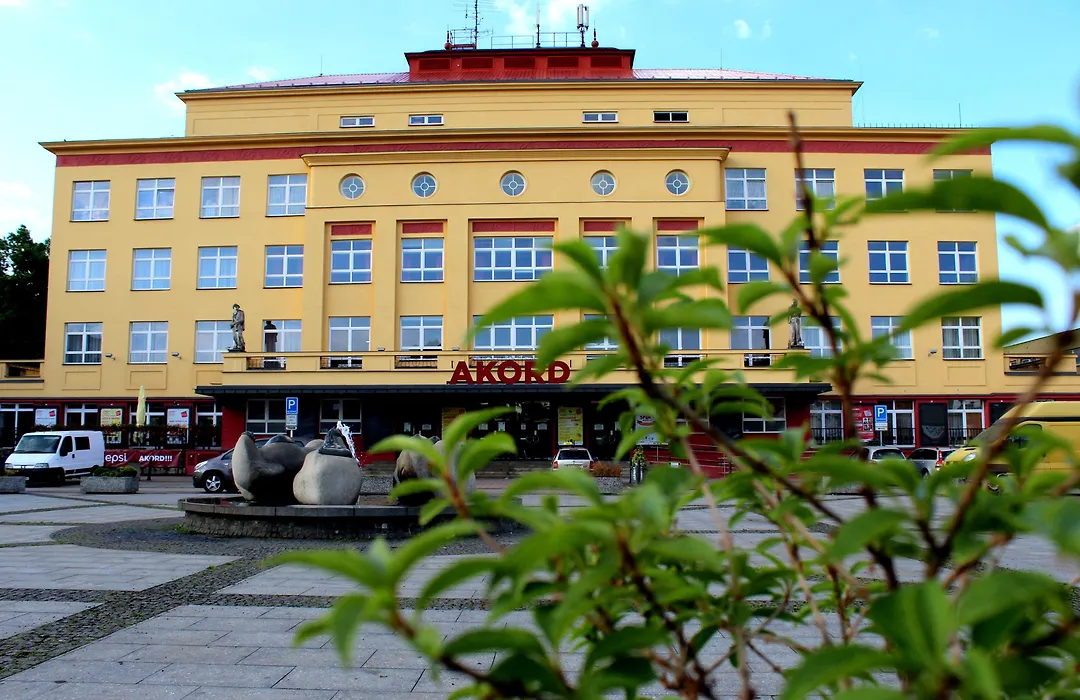 Mini Hotel Akord-1