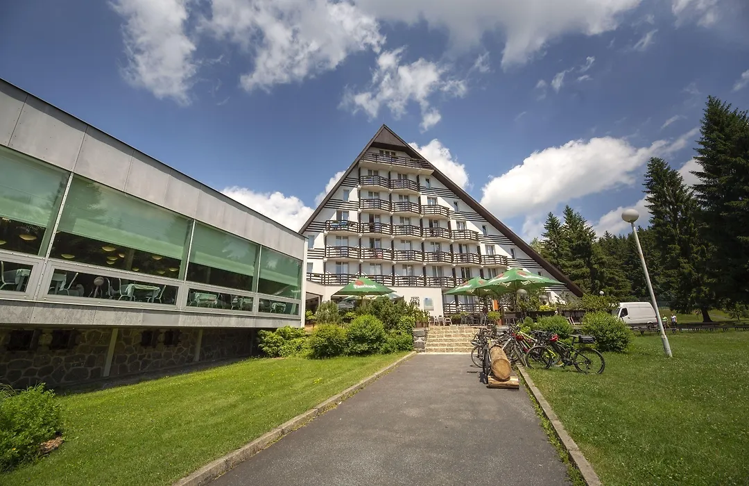 Hotel Ski-1
