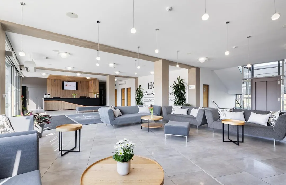 Hotel Vinice Hnanice-1