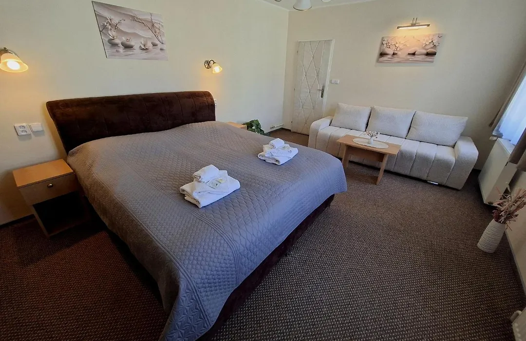 Hotel Alster-1