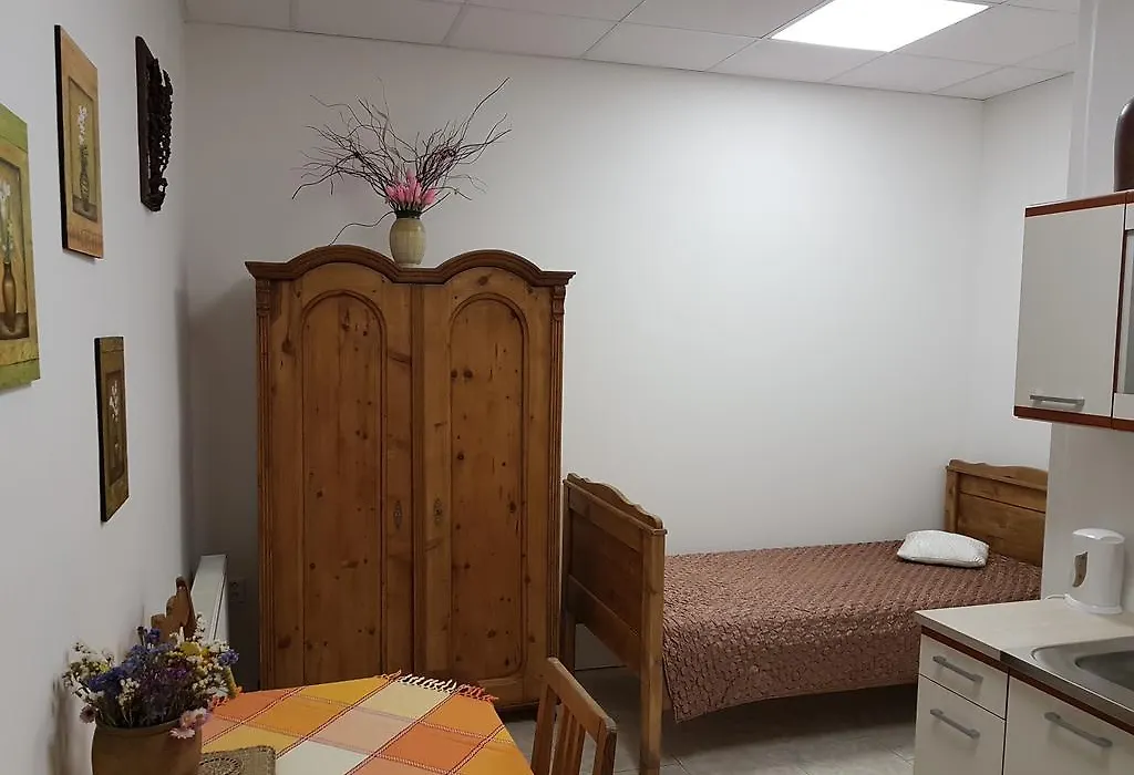 Apartmany U Dvora-1