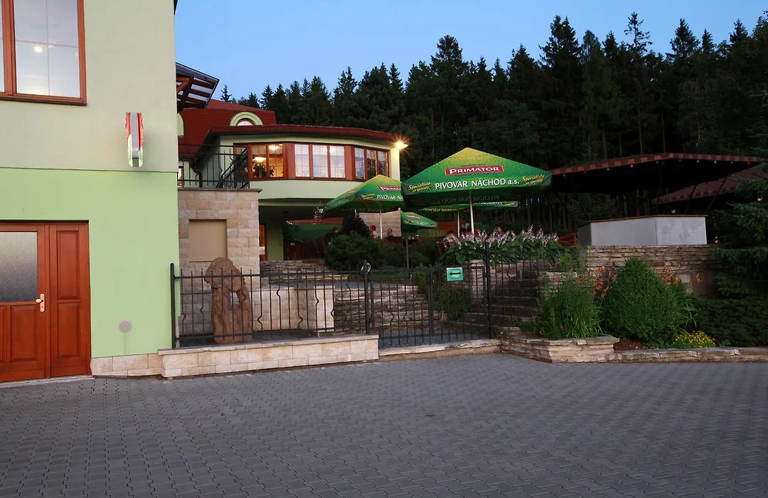 Wellness Hotel Vyhlidka-1