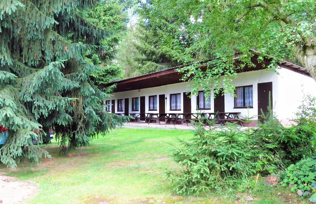 Juniorcamp Nova Zivohost-1