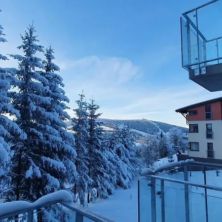 Apartman Nerudovka D 104, Finska Sauna, Garazove Stani-2