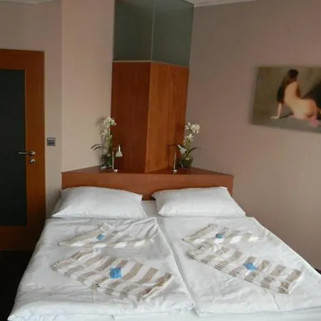 Hotel Zelený Strom-3