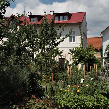 Dvorec Cerniv-2