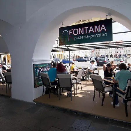 Fontana Pizzeria - Pension-3