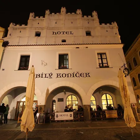 Hotel Bílý Koníček-3