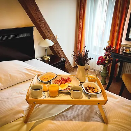 Hotel U Zeleneho Stromu-2