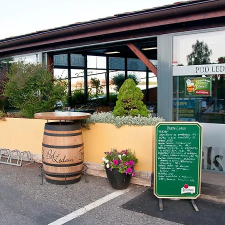 Hotel U Ledu-3