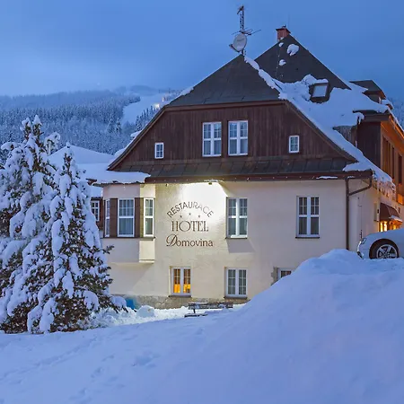 Hotel Domovina-2
