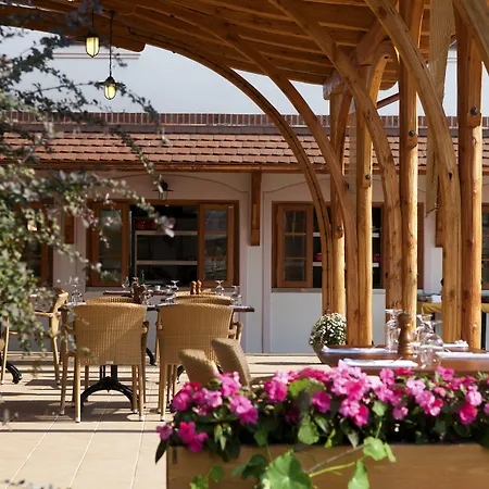 Babiččina Zahrada Penzion&Restaurant-3