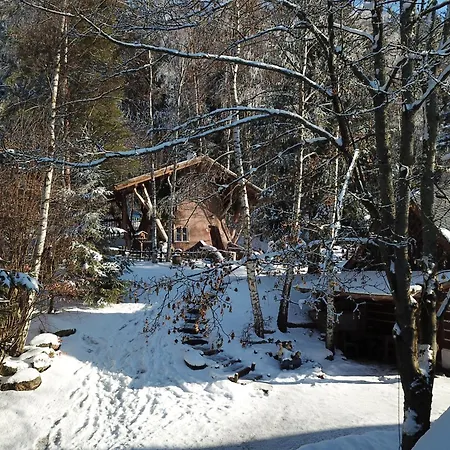 Hotel Podlesí-2