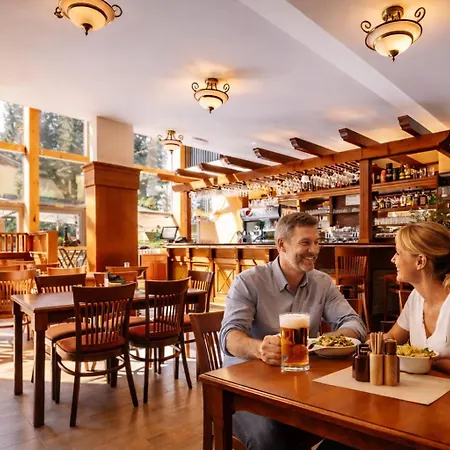 Hotel Obri Sud Javornik-3