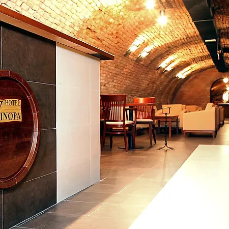 Hotel Vinopa-2