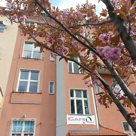 Cafe Dlask-2