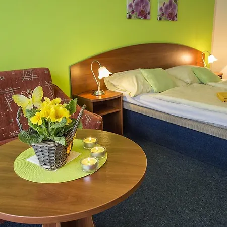 Hotel Centrum Harrachov-2