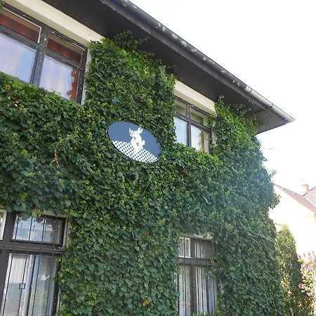 White Rabbit Hall-3