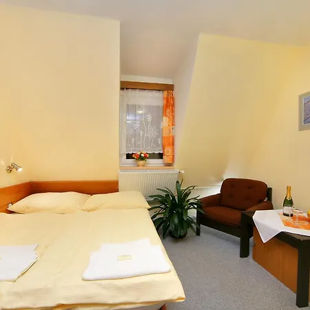 Hotel Stary Mlyn-2