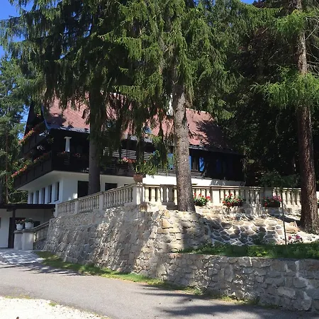 Hunting Lodge Vitkov-3