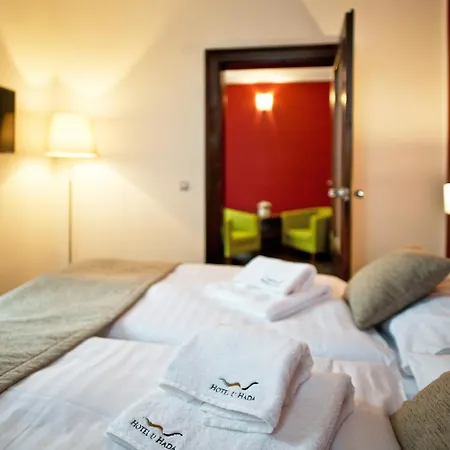 Hotel U Hada Žatec-2