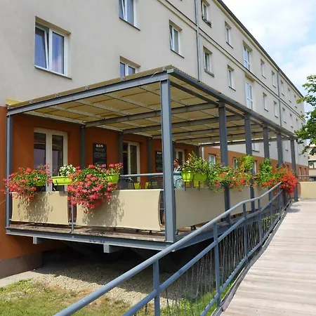 Hotel Elmontex-3