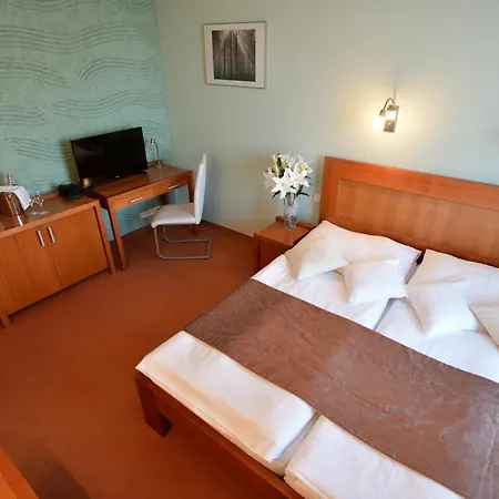 Hotel Villa Romantica-3