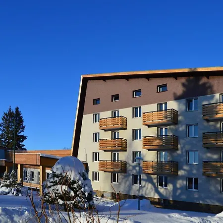Hotel Srni Depandance - Sumava-2