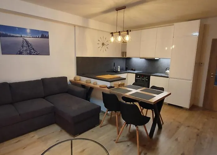 Apartman Nerudovka D 104, Finska Sauna, Garazove Stani
