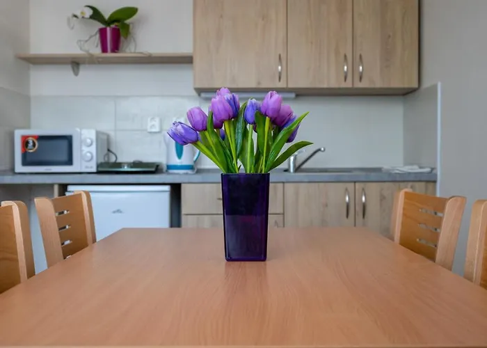 Apartmány a Studia Zámecký park