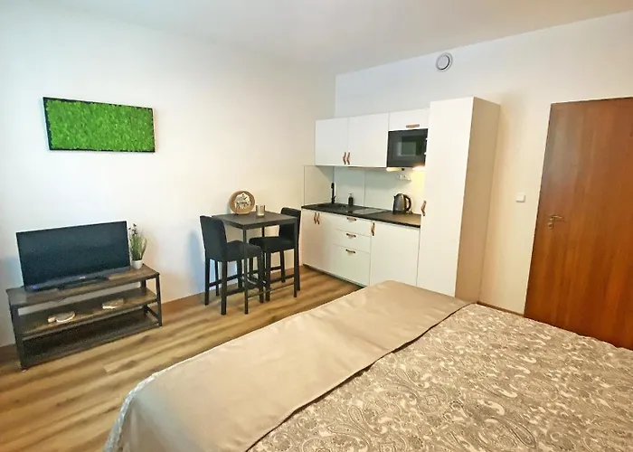 Apartmány Řezáč Rokytnice nad Jizerou, Česká republika