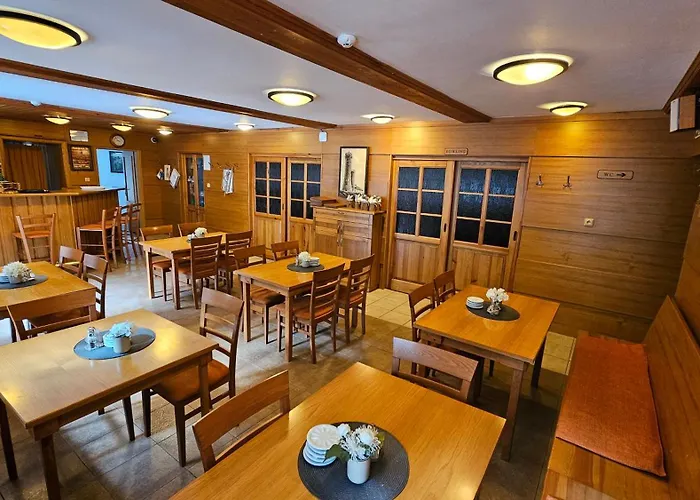 Horský Hotel Sněženka Hynčice pod Sušinou, Česká republika