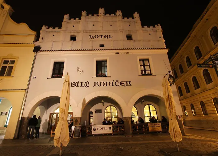Hotel Bílý Koníček