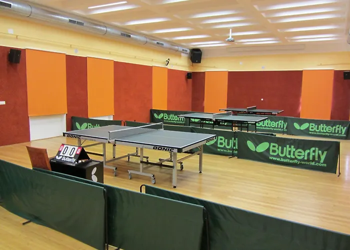 Wellness & Sport Hotel Ttc Vrchlabí, Česká republika