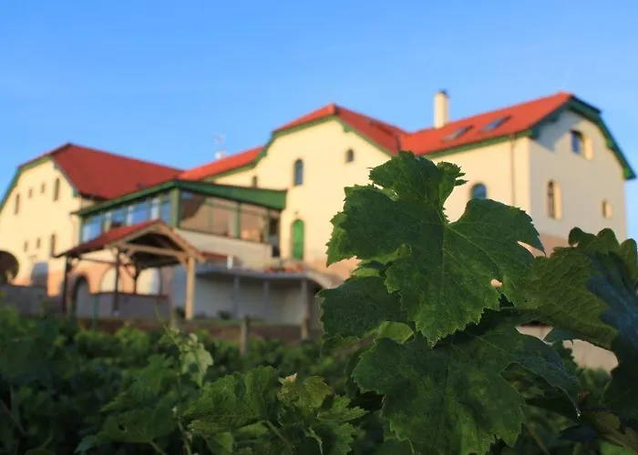 Hotel Vinohrad Milotice, Česká republika