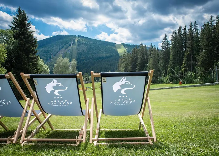 Wellness Hotel Sedy Vlk Harrachov, Czechy