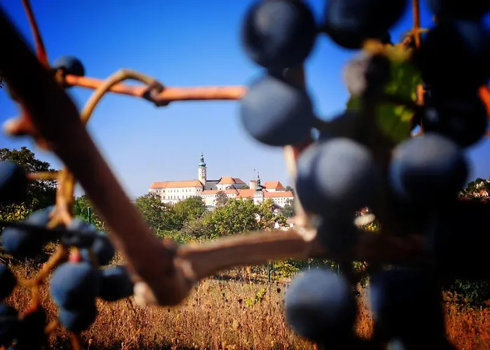 Pod Vinicí