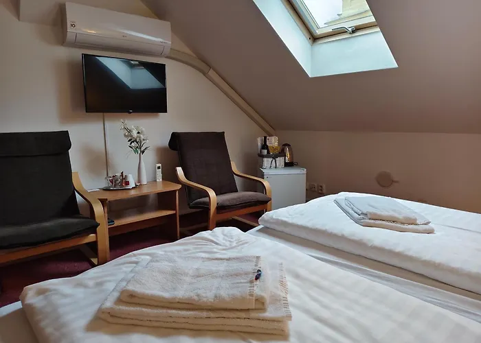 Hotel Bílý Koníček Třeboň, Česká republika