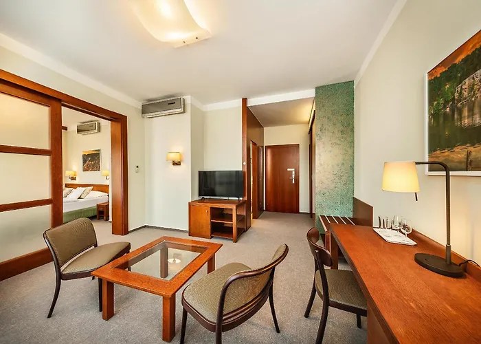 Wellness Hotel Happy Star Hnanice , Czechy