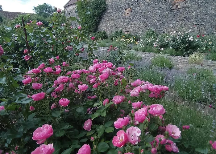Chateau Třebešice Kutná Hora, Česká republika
