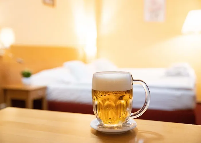 Penzion U Salzmannů