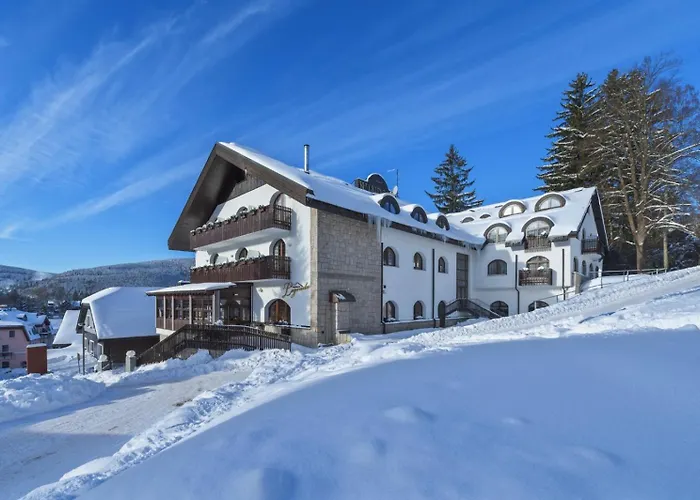 Wellness Hotel Windsor Szpindlerowy Młyn, Czechy
