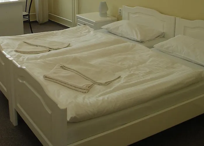 Hotel Bily Lev Rokycany, Česká republika