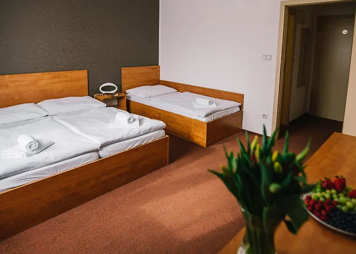 Hotel Olympionik Mělník, Česká republika